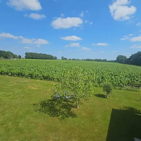 Daire Chez Pascal Sissi -au Coeur De Vignes, Parking Free *