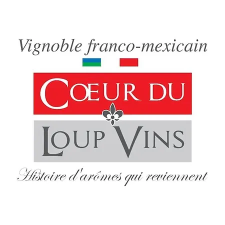 Διαμέρισμα Chez Pascal Sissi -au Coeur De Vignes, Parking Free Chateauthebaud