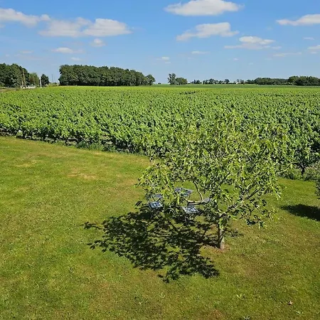 Chez Pascal Sissi -au Coeur De Vignes, Parking Free Apartment Chateauthebaud
