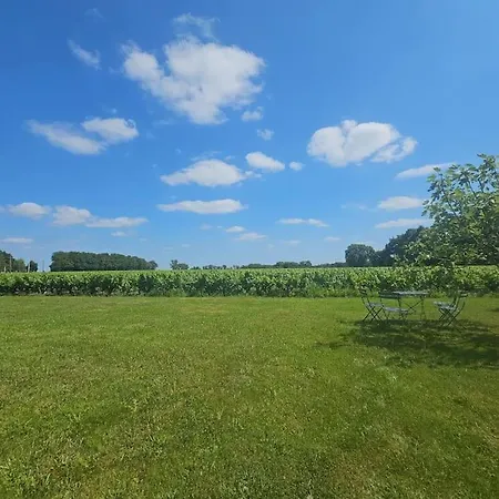 Appartement Chez Pascal Sissi -au Coeur De Vignes, Parking Free *