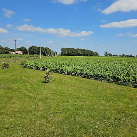 Chez Pascal Sissi -au Coeur De Vignes, Parking Free * Chateauthebaud