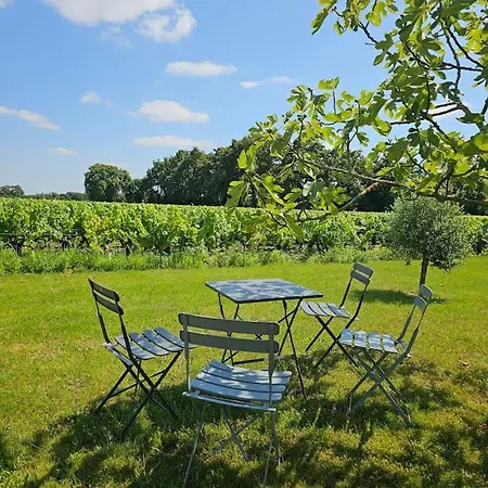 Chez Pascal Sissi -au Coeur De Vignes, Parking Free * Chateauthebaud