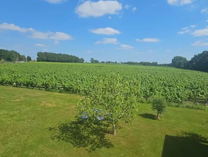 Daire Chez Pascal Sissi -au Coeur De Vignes, Parking Free *