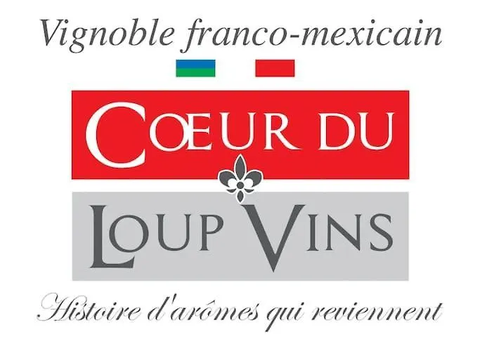 Apartamento Chez Pascal Sissi -au Coeur De Vignes, Parking Free Chateauthebaud