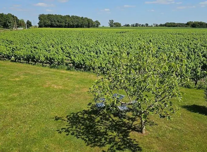Chez Pascal Sissi -au Coeur De Vignes, Parking Free Daire Chateauthebaud