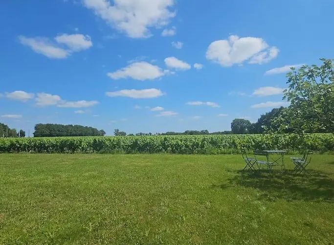 Daire Chez Pascal Sissi -au Coeur De Vignes, Parking Free *