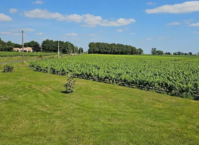 Chez Pascal Sissi -au Coeur De Vignes, Parking Free * Chateauthebaud